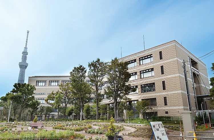 千葉大学